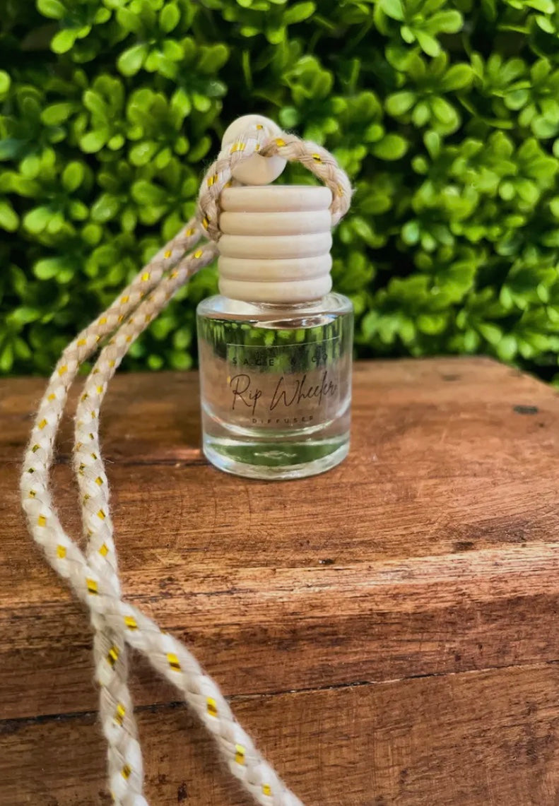 Car fragrance diffuser