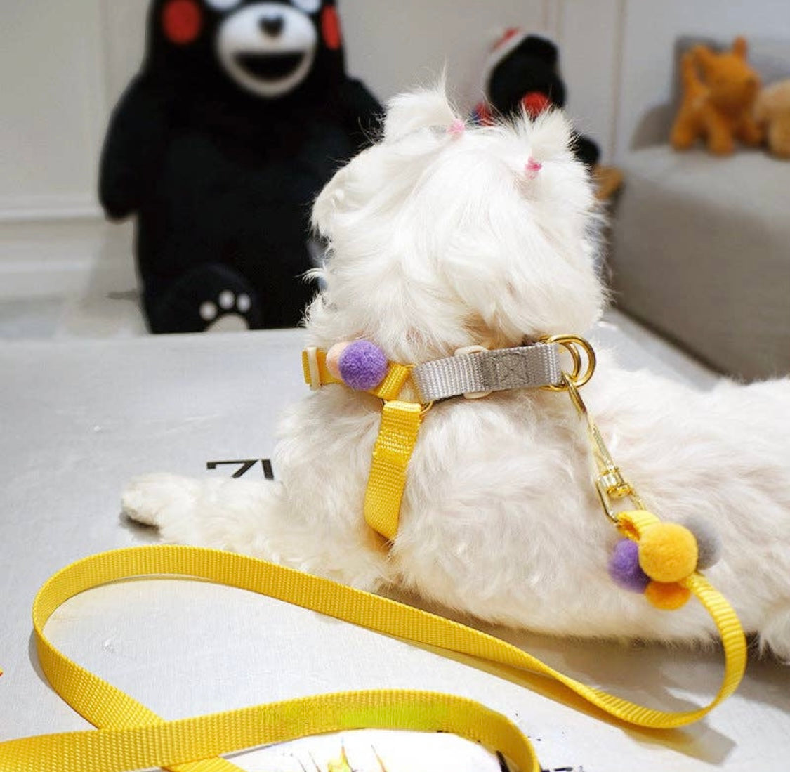 Dog Harness & Leash Set