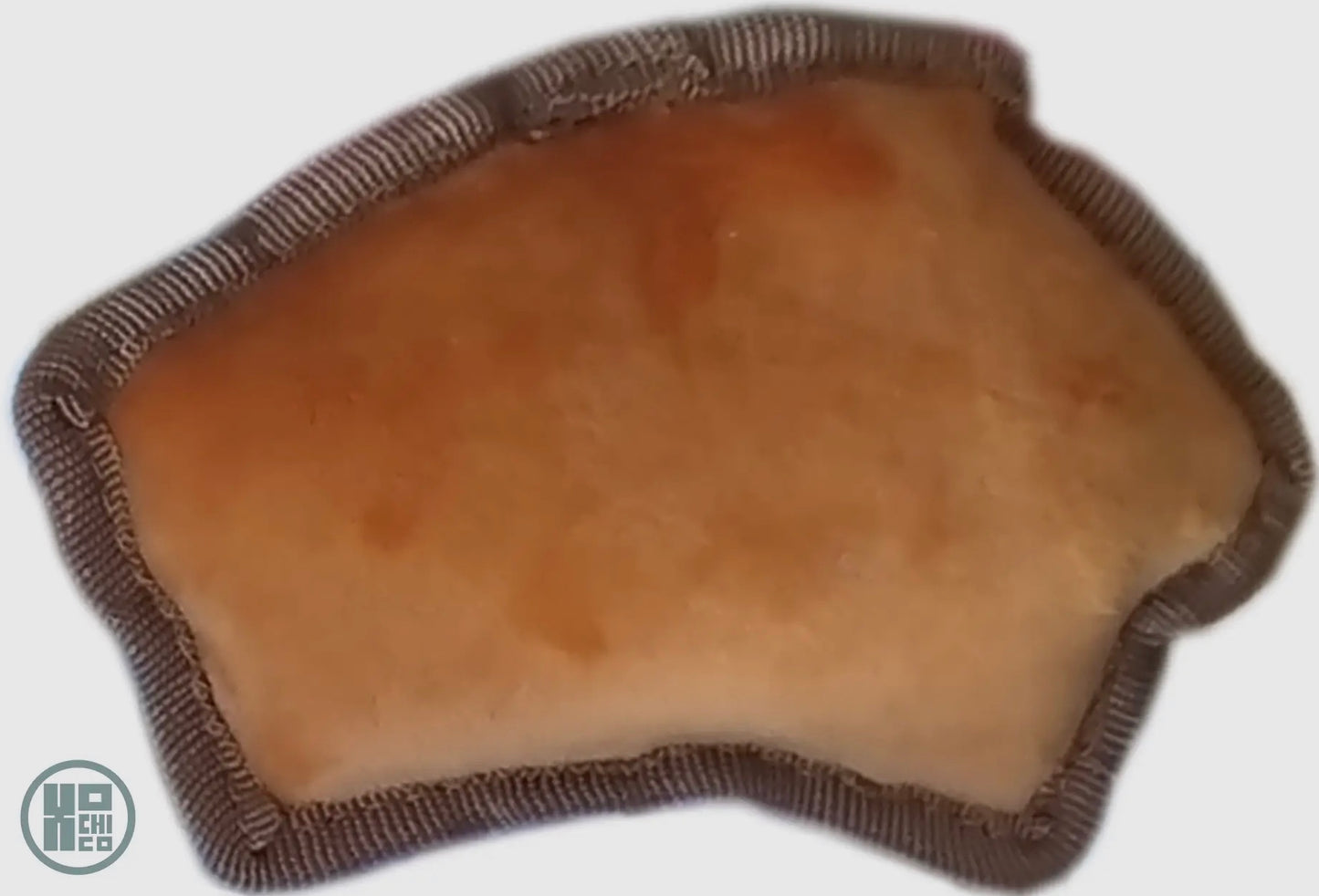 Squeaky dog toy