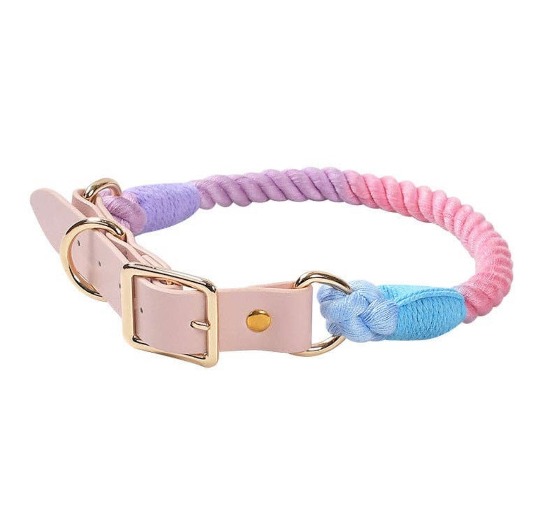 Gold Multi Collar & Leash