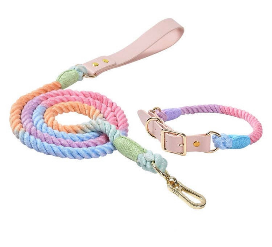 Gold Multi Collar & Leash