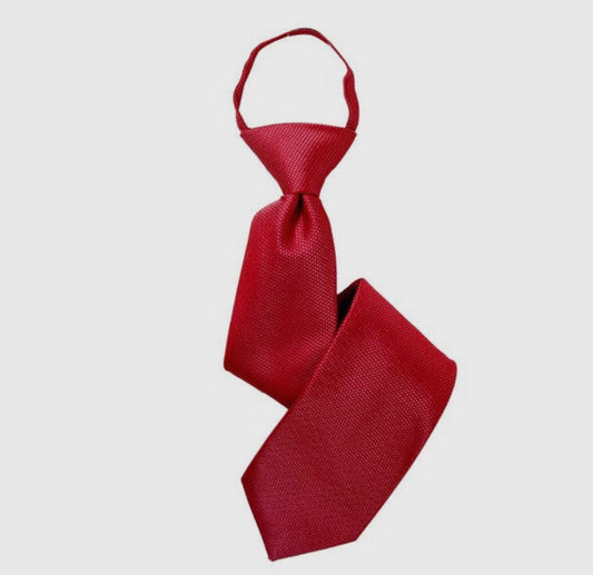 Boy 17” Solid Ted Zipper Tie