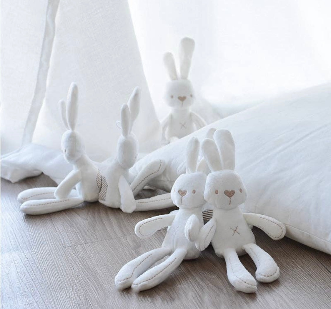 Rabbit Plush Doggie Toy