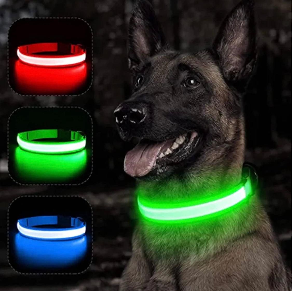 Illuminate Your Pup LED Collar
